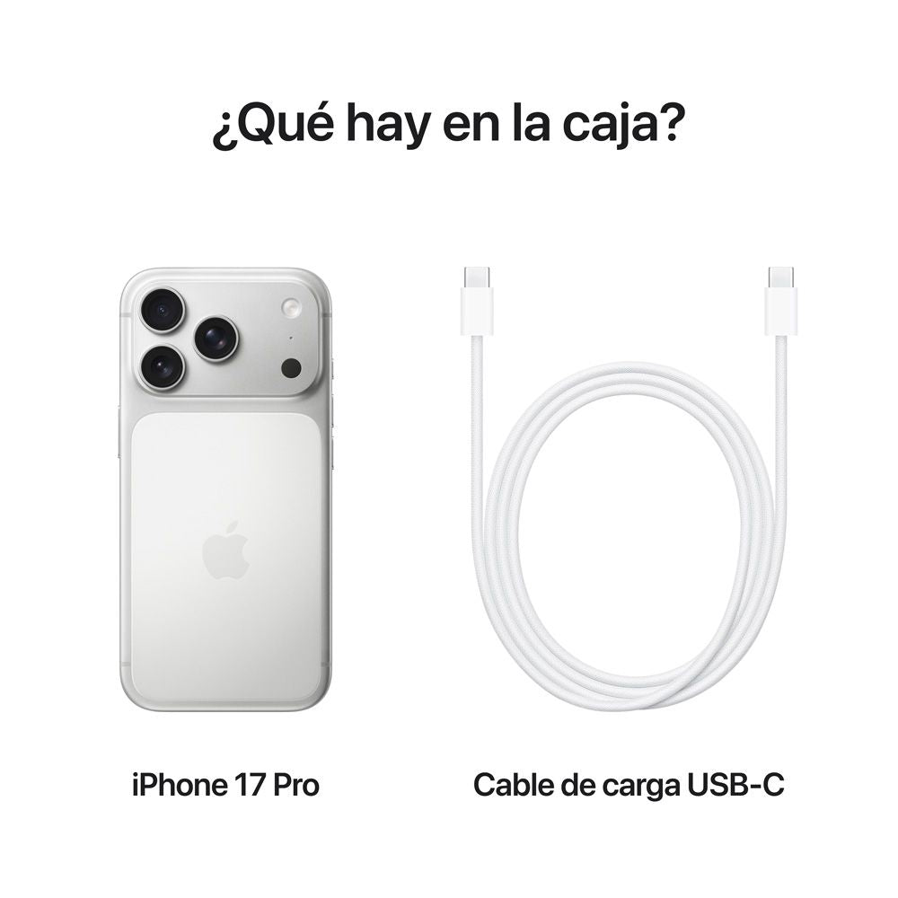 iPhone_17_Pro_Silver_PDP_Image_Position_8__COES