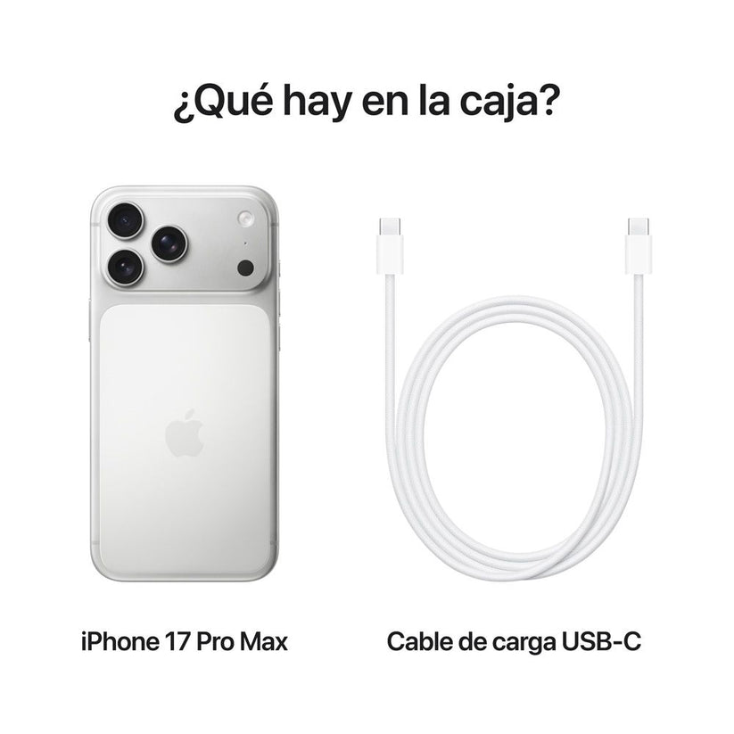iPhone_17_Pro_Max_Silver_PDP_Image_Position_8__COES