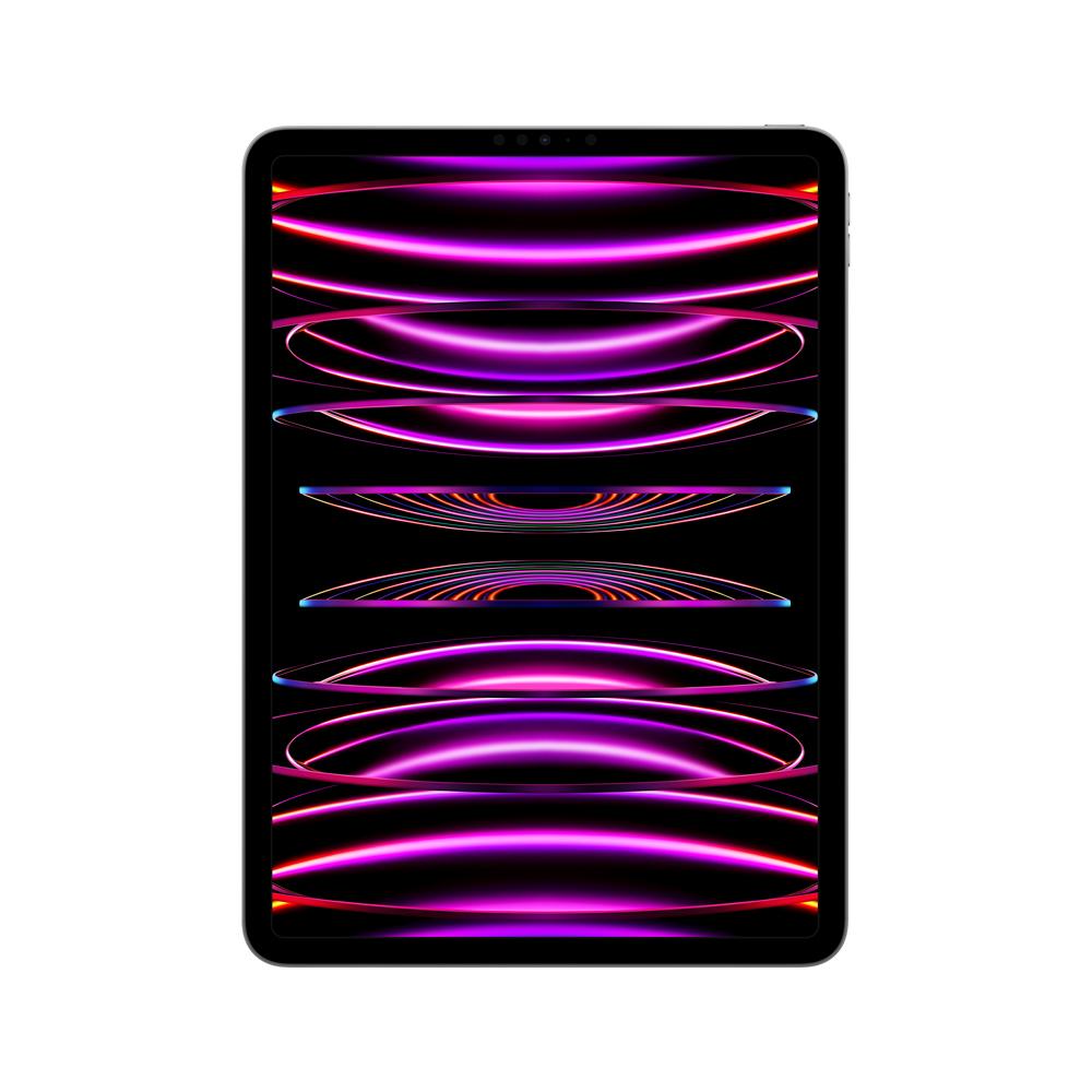 2022 iPad Pro de 11 pulgadas Wi-Fi 1 TB - Gris espacial (4.ª generación)