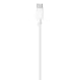 Cable Apple USB-C a Ligthning 2m - Blanco